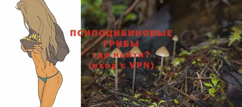 Псилоцибиновые грибы MAGIC MUSHROOMS  Асино 